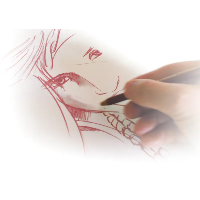Papier C à grain Canson 224 g/m² | Papier dessin blanc